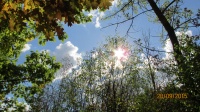IMG_7044.jpg, 32kB